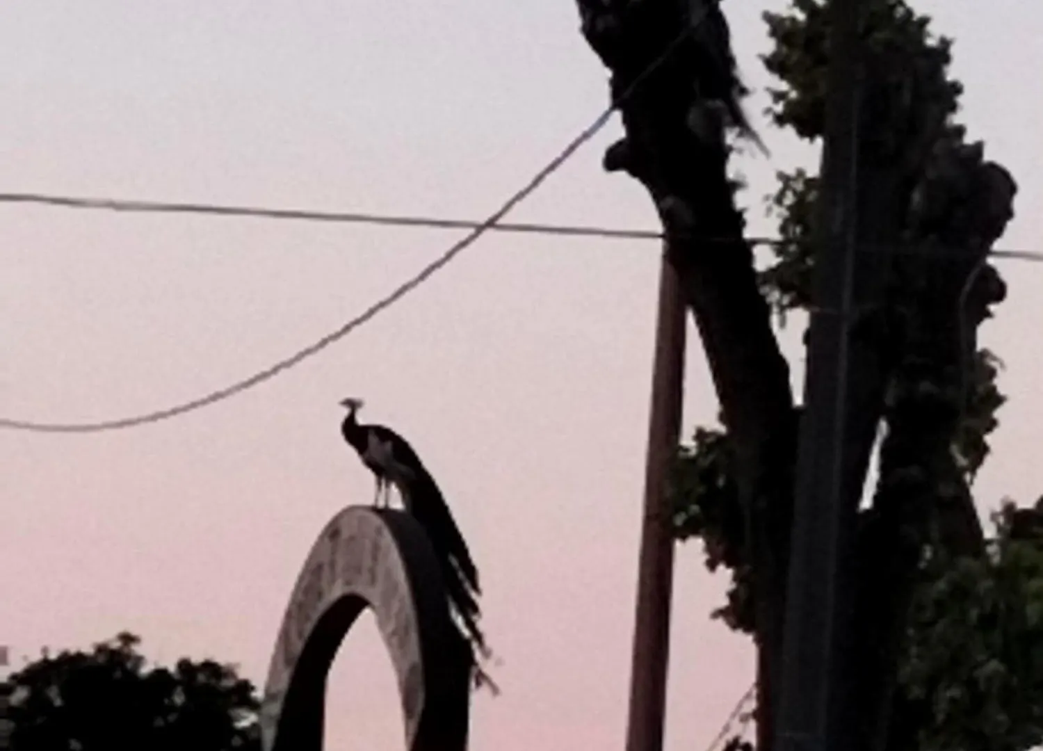 Night & Day Affittacamere Di Laura Patuelli Cotignola 0*,