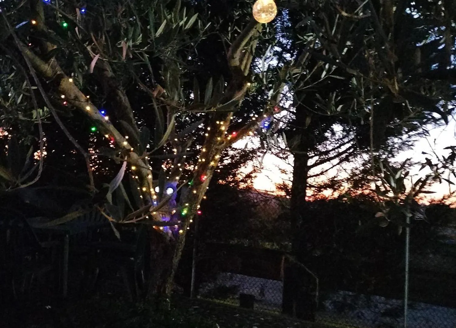 Night & Day Affittacamere Di Laura Patuelli Cotignola 0*,  Italia